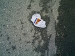 IMAG0468_redimensionar.JPG