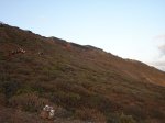 Costa Trail 2007 (6).jpg