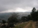 m_Cazorla febrero 07 060.jpg