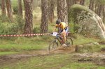 Cadalso 2007 203.jpg