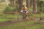 Cadalso 2007 204.jpg