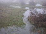 DSCN0939.jpg