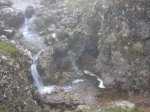 DSCN0947.jpg