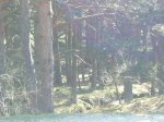 P0000040_redimensionar.JPG