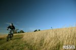 0-IMG_4921.JPG