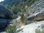 DSC00076.jpg