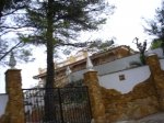 casa tarzan_800x600.jpg
