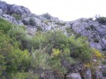 monta&#241;a_800x600.jpg