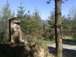 300320121160.jpg