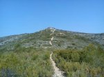 DSC00080.jpg