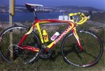 chinarello.jpg