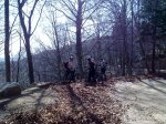 310320124446_1024x768.jpg