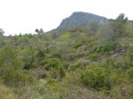 P1020745_800x600.jpg