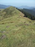 20120331_115044_768x1024.jpg