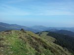 20120331_115617_1024x768.jpg