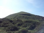 20120331_120025_1024x768.jpg