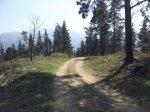 20120331_142025_1024x768.jpg