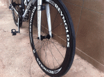 Scaled Image 2.gif