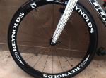 Scaled Image 4.gif