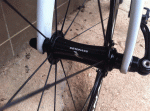 Scaled Image 8.gif