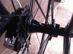 Scaled Image 9.gif