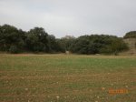CIMG1561.jpg