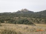 CIMG1570.jpg