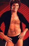 hasselhoff.jpg