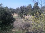 010420124460_1024x768.jpg