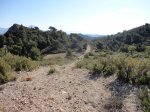 DSC02468.JPG