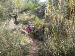 IMG-20120331-WA0005.jpg