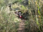 IMG-20120331-WA0006.jpg