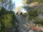 CIMG1312 (Copiar).JPG