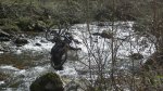 2012-03-31-044 (Copiar).jpg