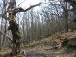 FOTO4.jpg