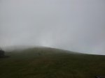 20120401_112605_1024x768.jpg