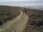 Foto1239 (Copiar).jpg