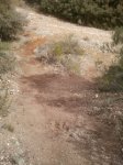 2012-03-31+13.17.30.jpg