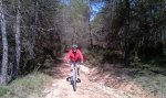 IMAG0019.jpg