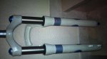 DSC00159.JPG