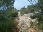 DSC00105.jpg