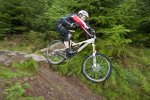 rob_cooksley-ae-forestsm.jpg
