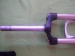 100_4381.JPG
