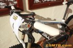 bulls_3-590x393.jpg