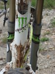 dsc03585jg.jpg