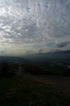 P1100314a.jpg