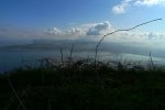 P1100335a.jpg
