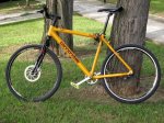 cannondaleamarilla4.jpg