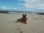 2012-04-05_10_54_15.jpg