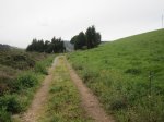 IMG_2392.JPG